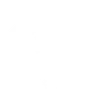 IS System logo